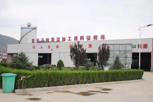 我國(guó)開(kāi)發(fā)出6大系列260多種馬鈴薯主食產(chǎn)品